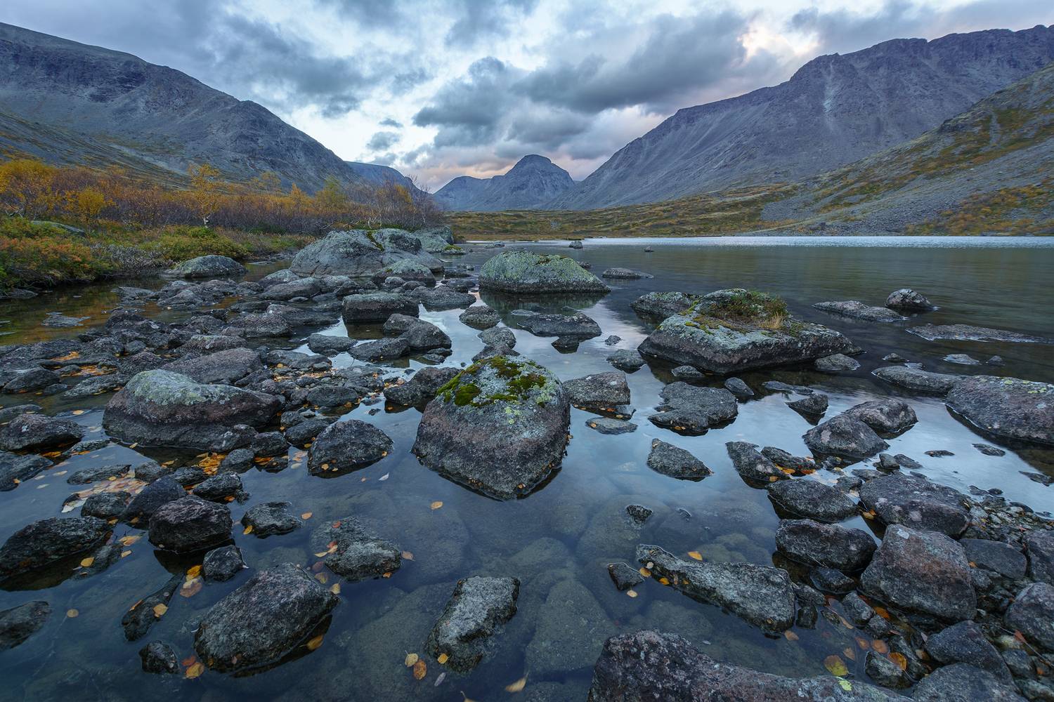 , Ян Сурогин