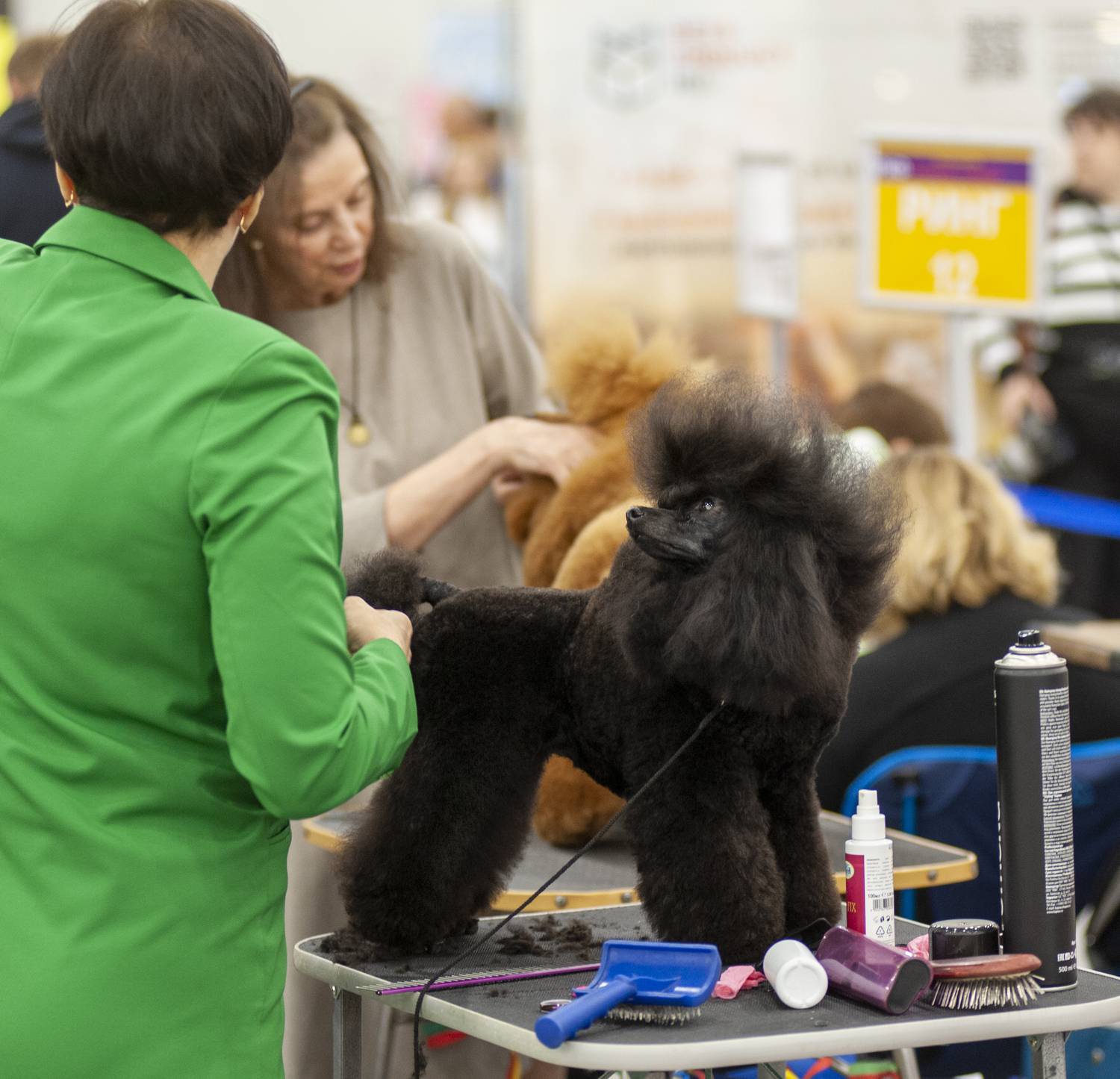 , Георгий Сапожников