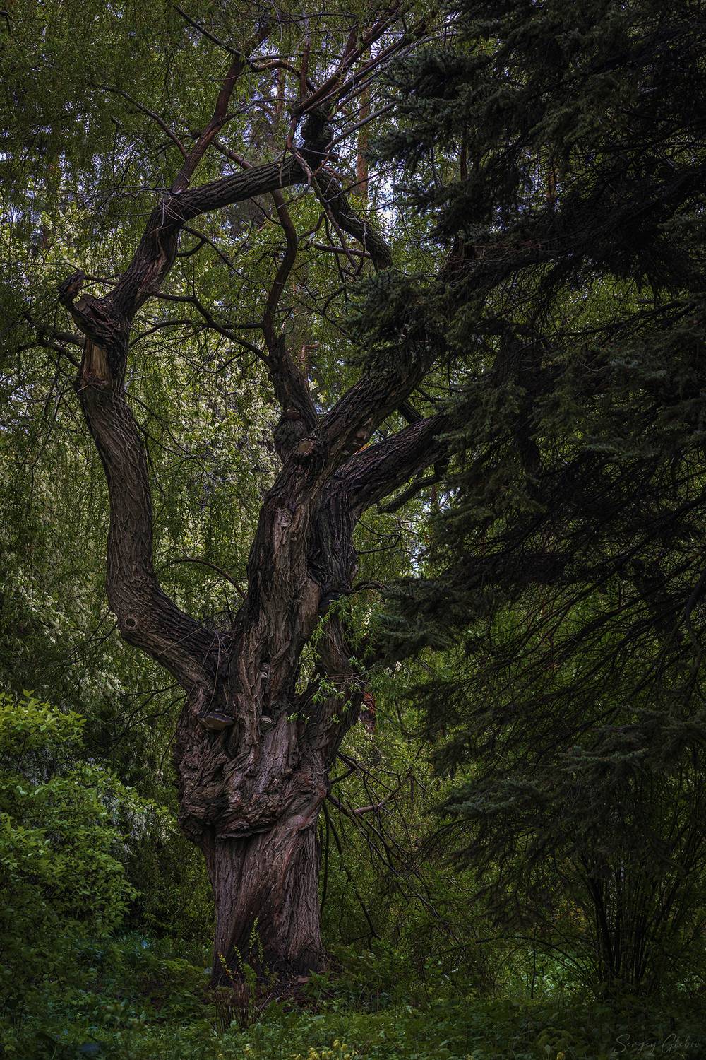 , Глебов Сергей