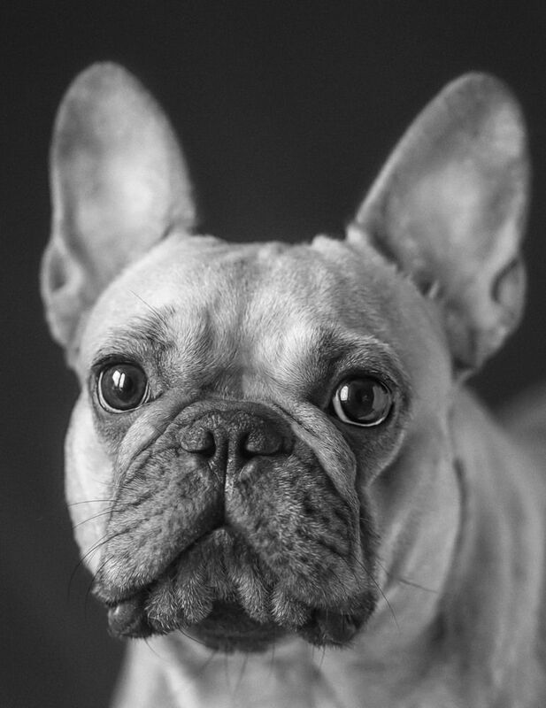 Эти глаза напротив ,у меня сегодня такое . фото превью