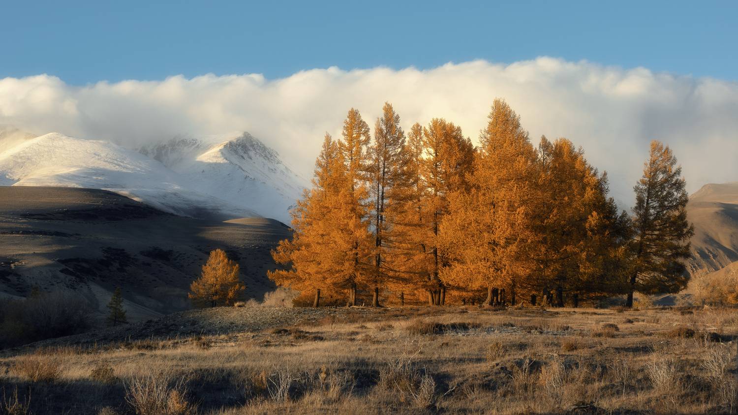 , Мозжухин Максим