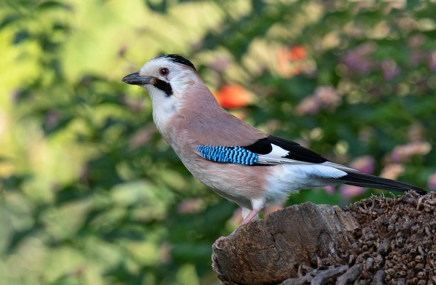 , Людмила Бекман