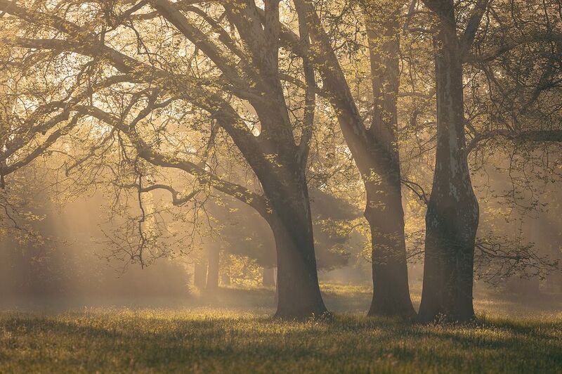 Vernal фото превью