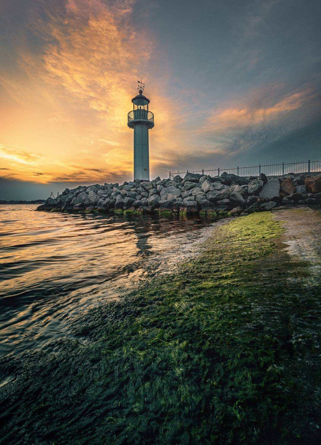 , Веселина Бобчева