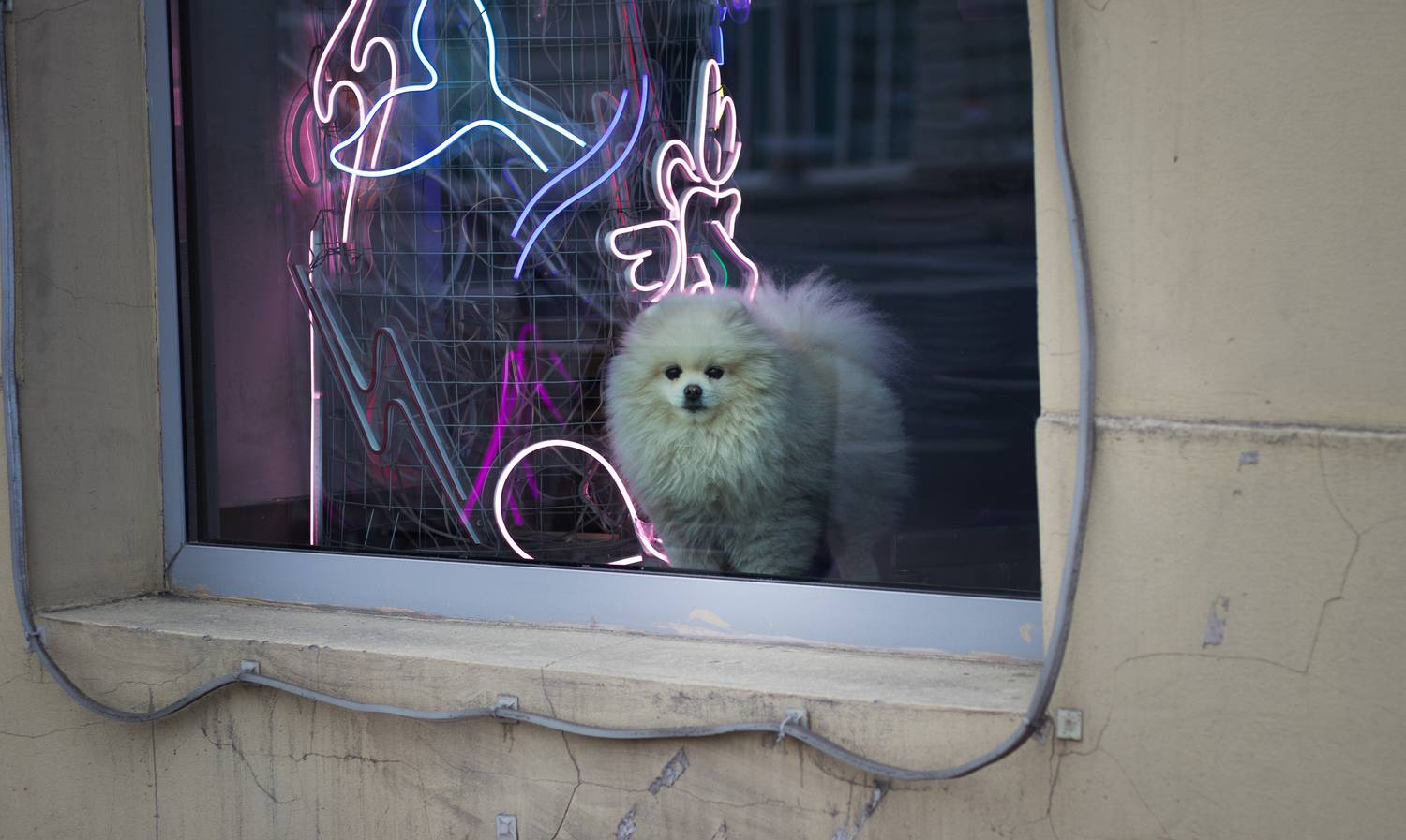 , Клюков Виталий