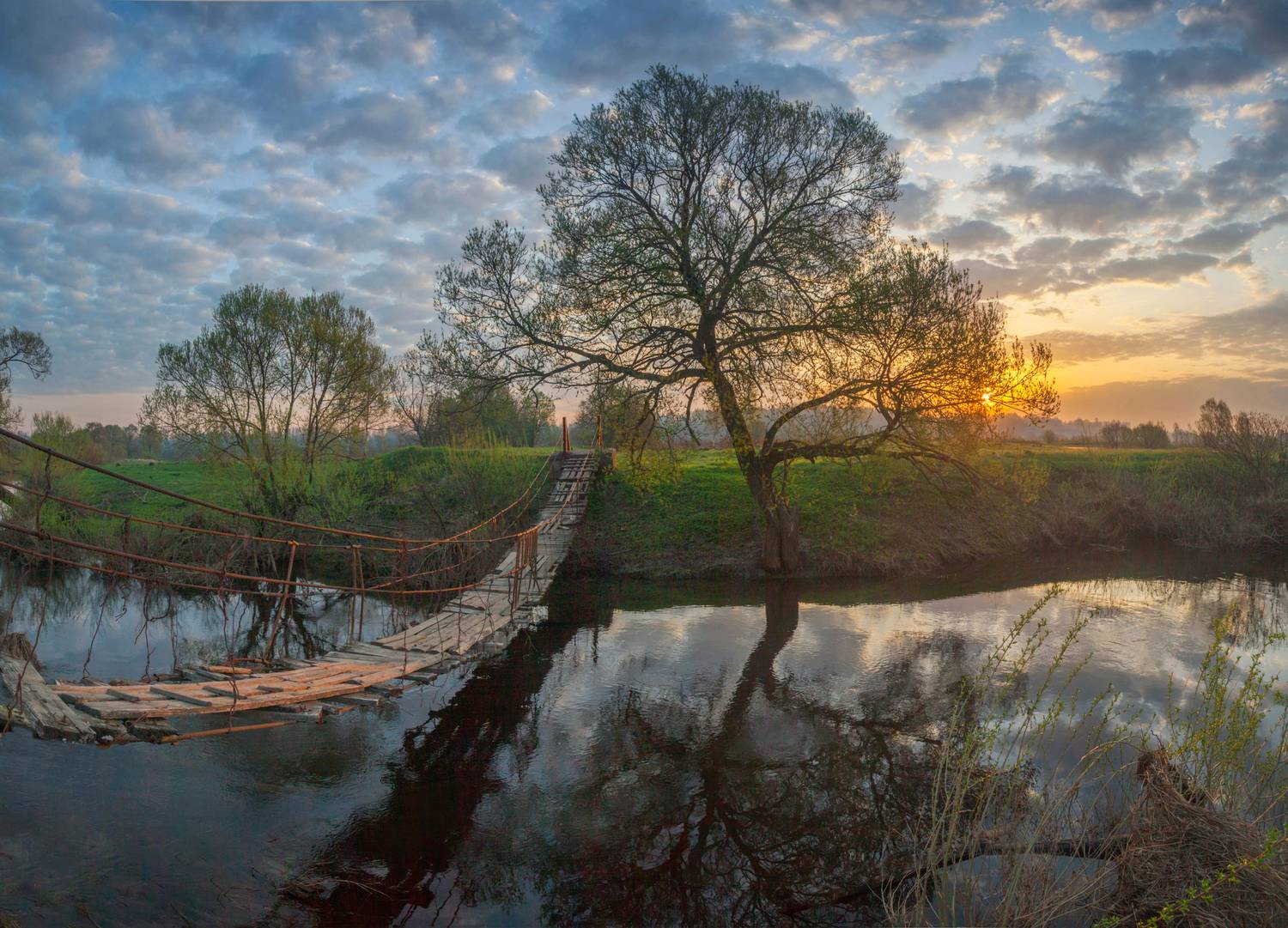 рука, мостик , рассвет, Свистков Александр