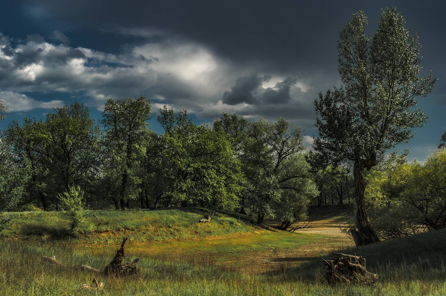 пейзаж,природа,весна, Vasilev Roman