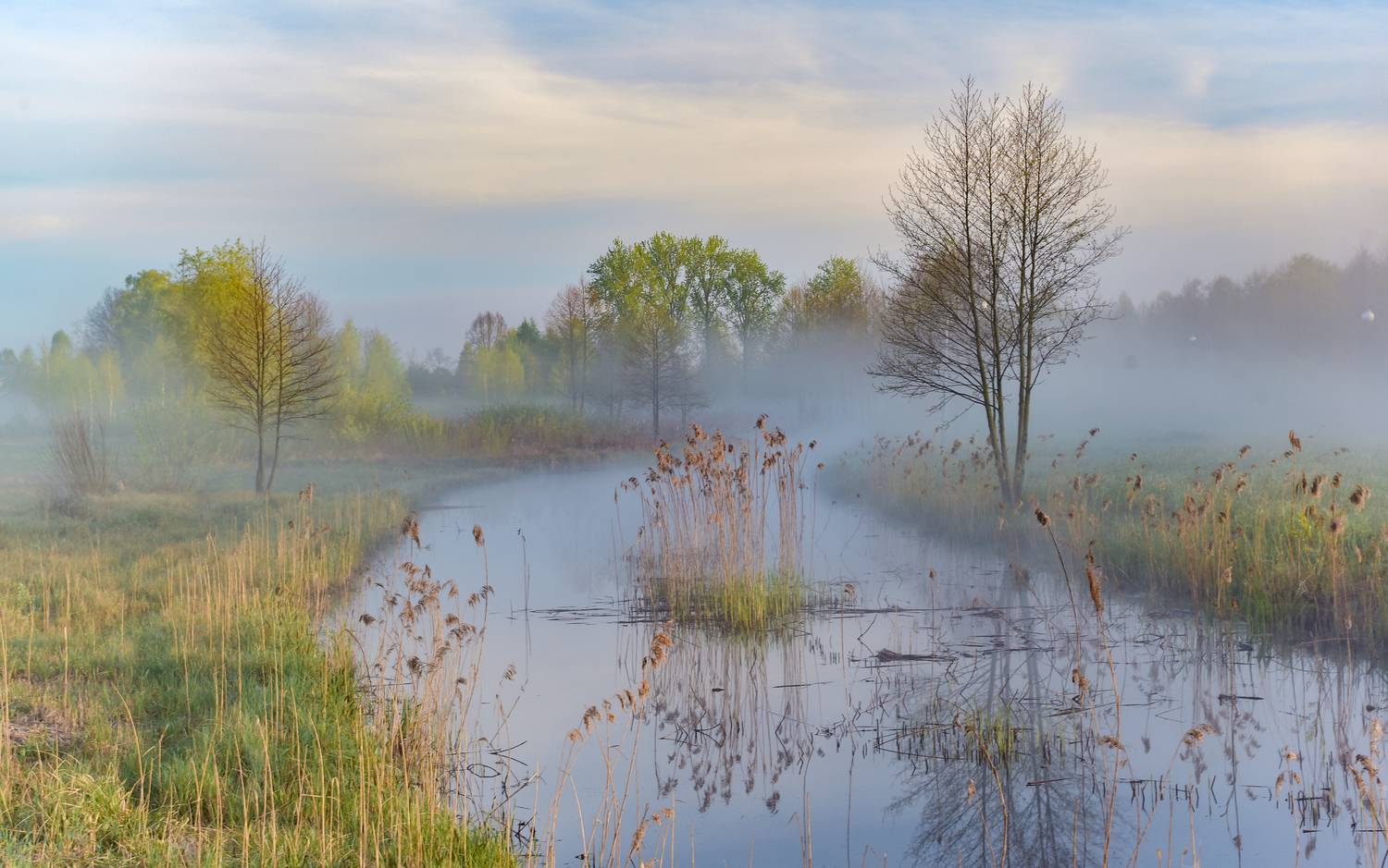 , Руслан Авдевич