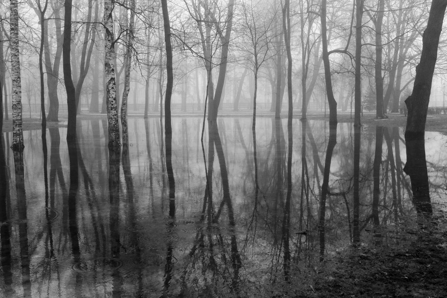 , Сергей Григорьев