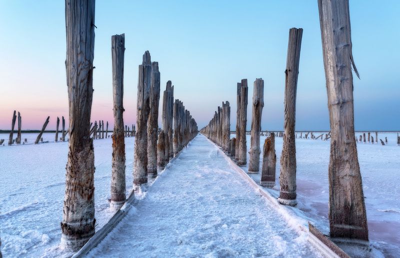 Озеро Сасык фото превью