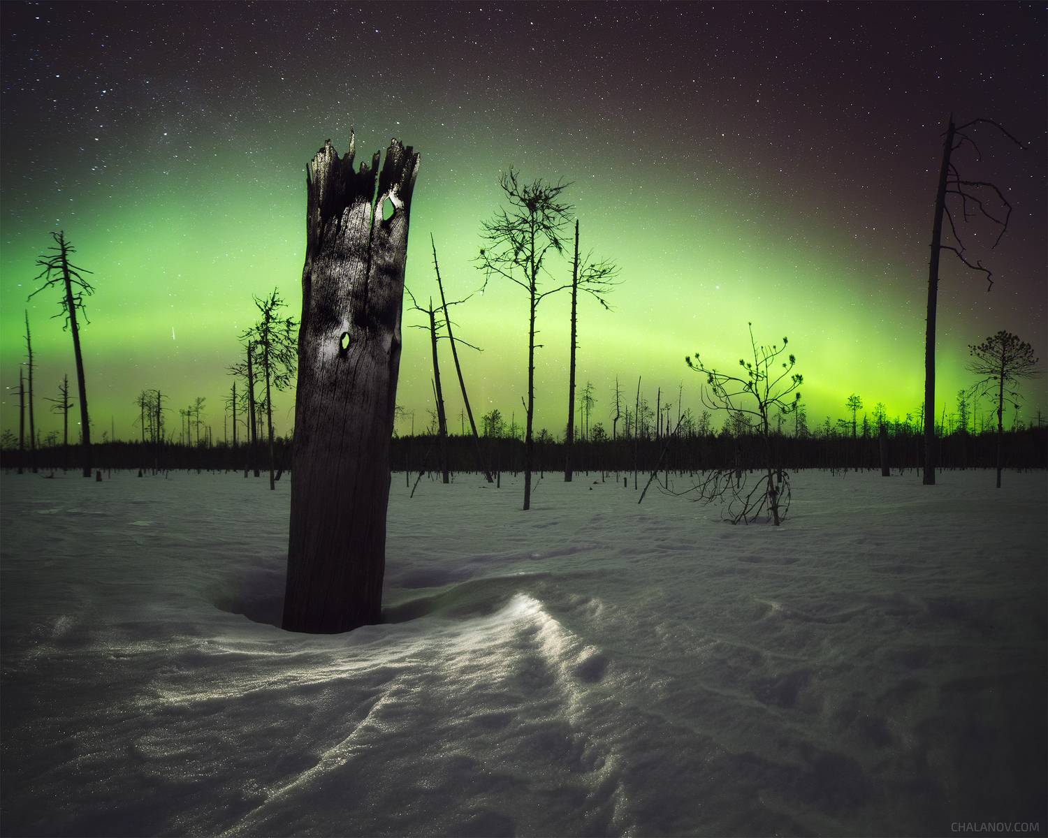 пейзаж, северное сияние, аврора, весна, снег, болото, деревья, звезды, Иван Чаланов