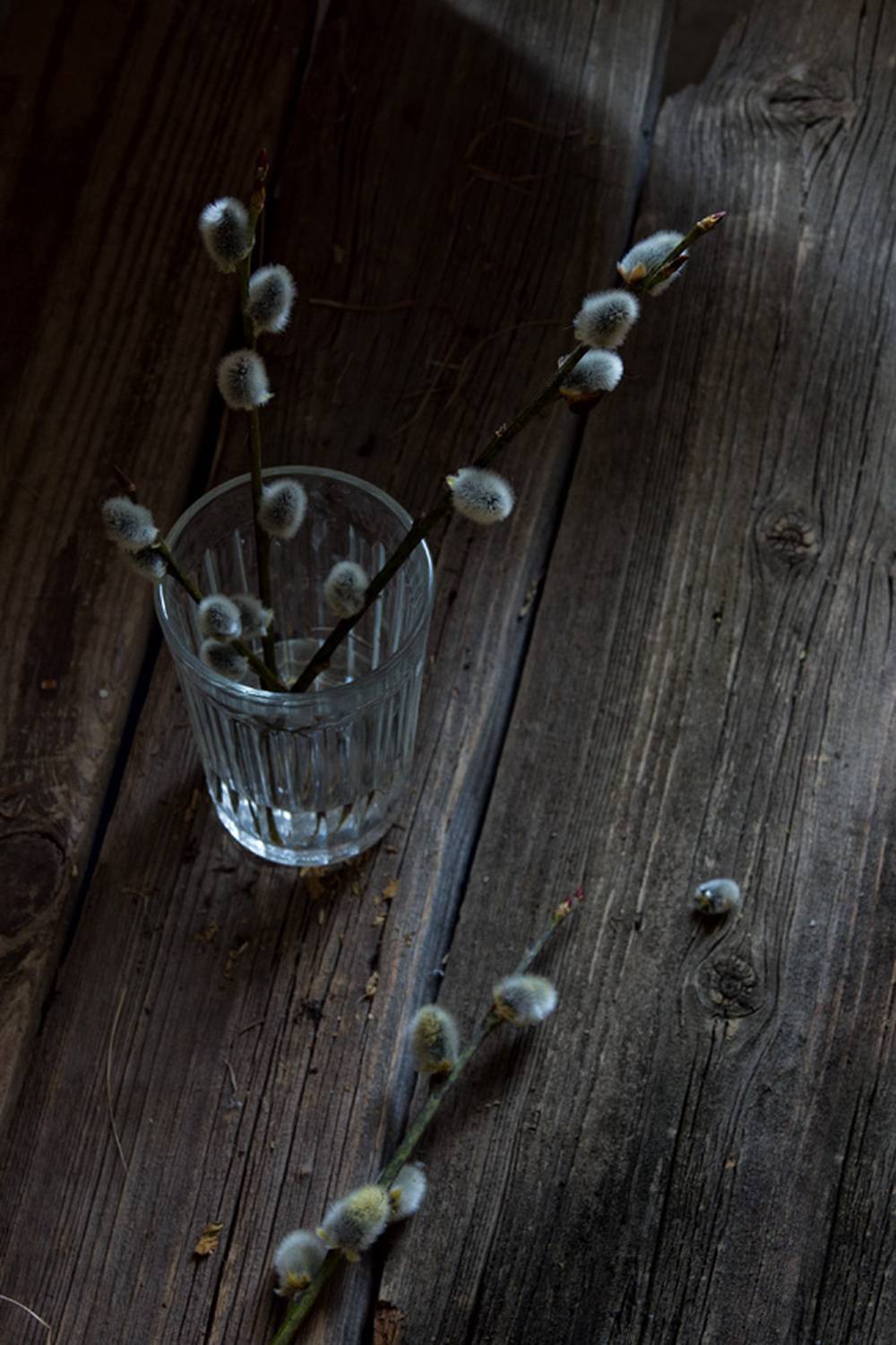 весна, верба, Елена Колеснева