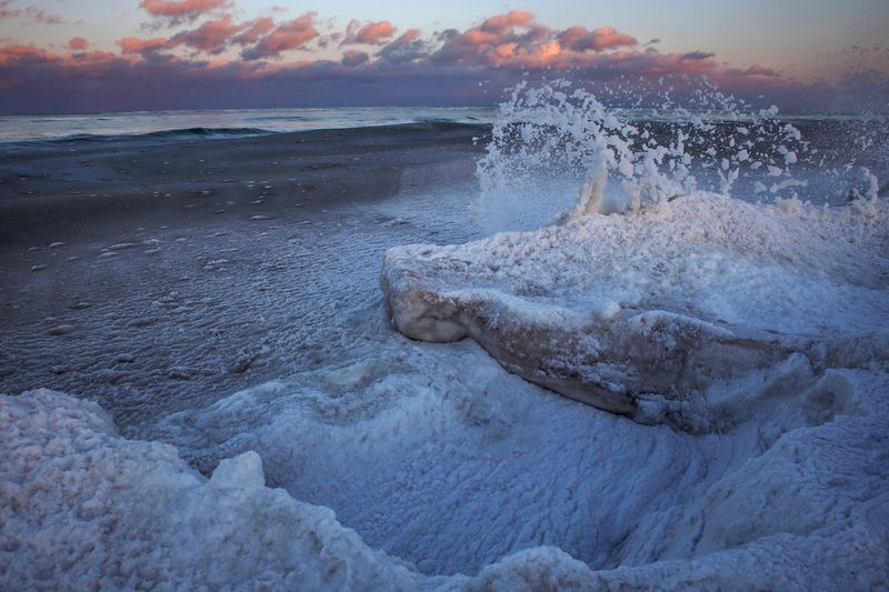 Шуга бесновалась фото превью
