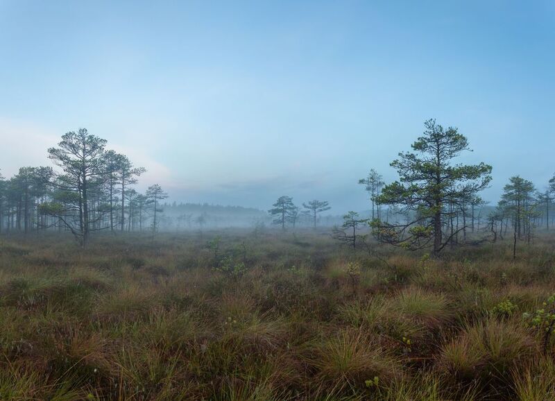 Туманная даль фото превью