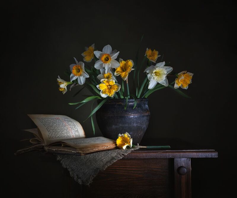 Книга и букет нарциссов фото превью