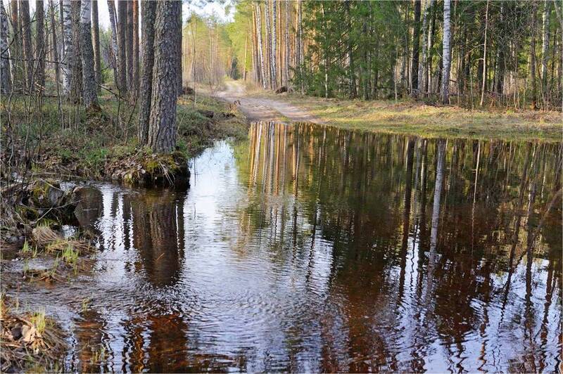 Уходит вешняя вода фото превью
