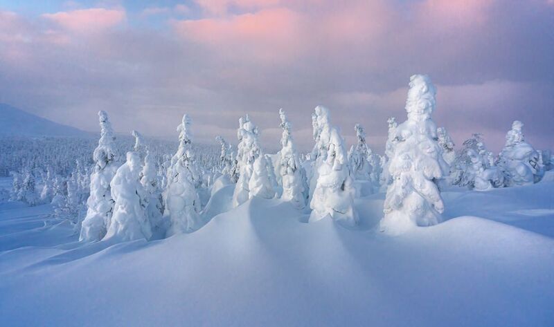 #ГУХ #Урал #Уральский хребет #тайга зимой ГУХ январь 2025 фото превью