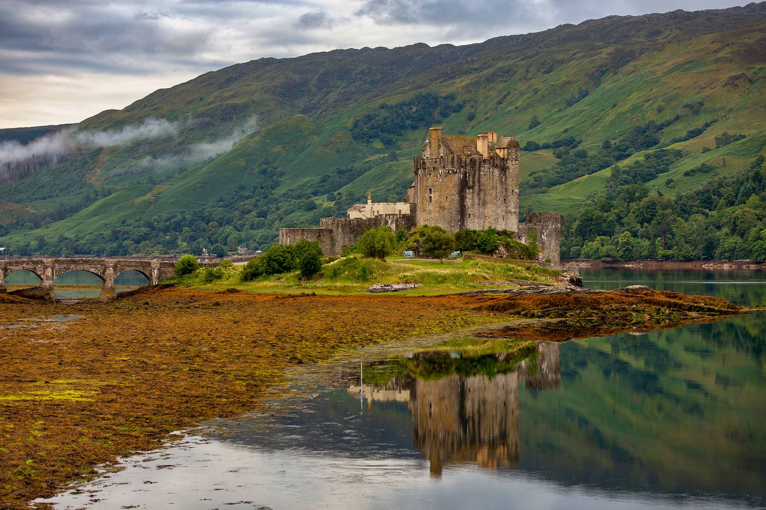 scotland, Vorobeychik Vladimir