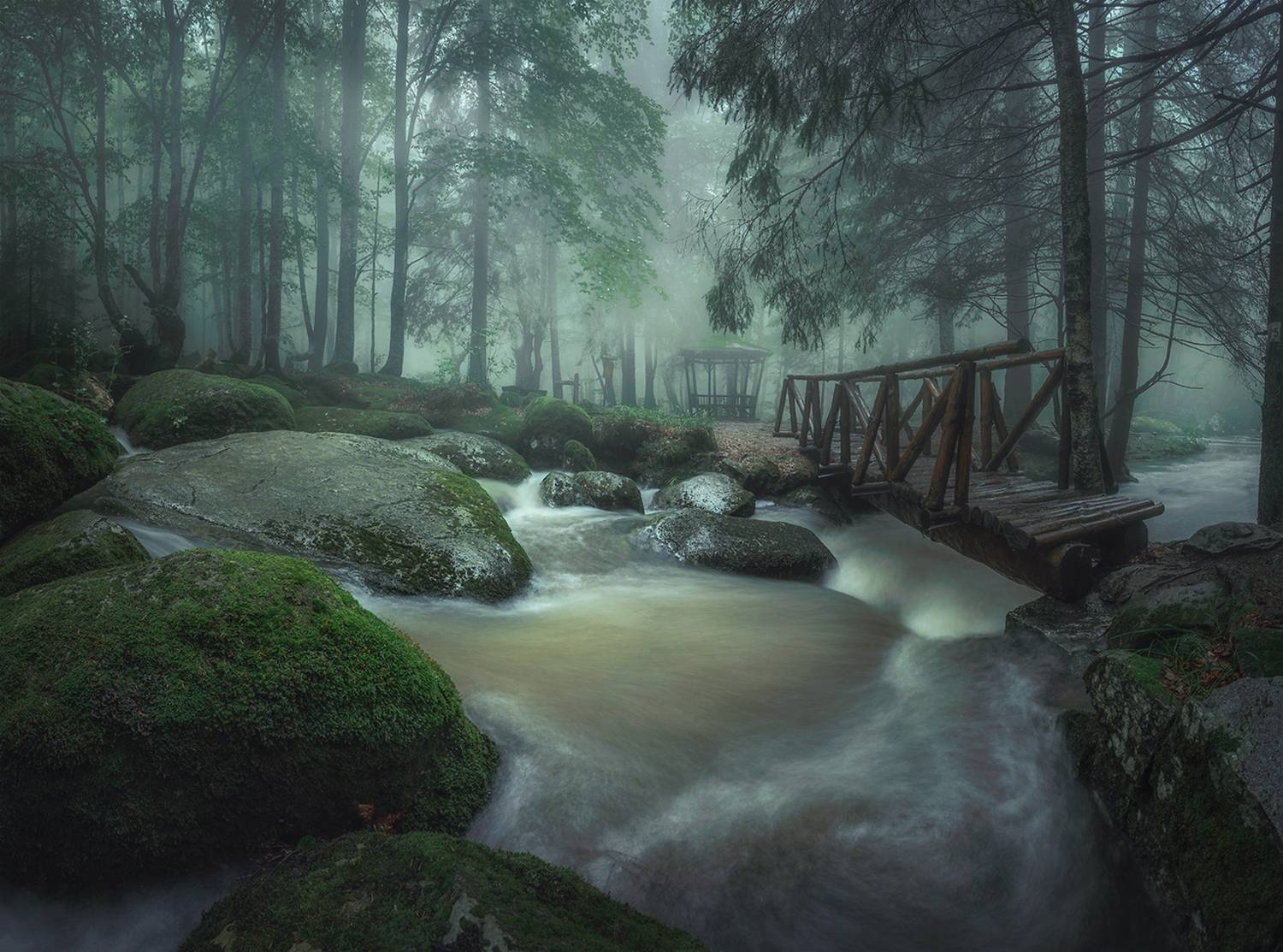 landscape, nature, scenery, forest, wood, mist, misty, fog, foggy, river, longexposure, mountain, rocks, vitosha, bulgaria, туман, лес, Александър Александров