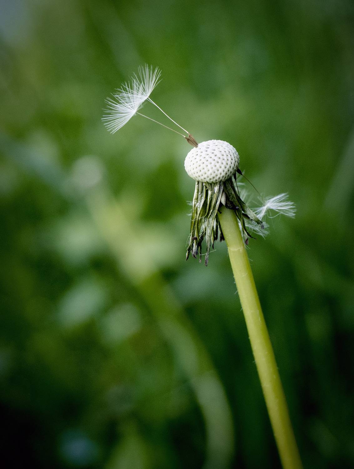 природа, Igor Lukin