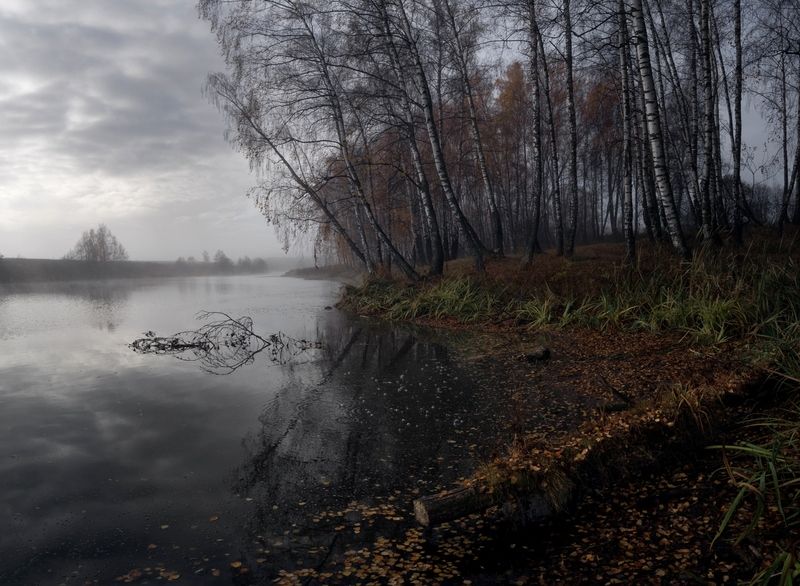 #пезаж #осень #туман #рассвет  фото превью