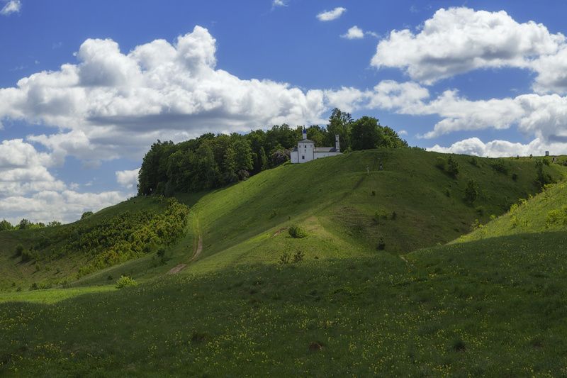 природа, небо, лето Изборские просторы... фото превью