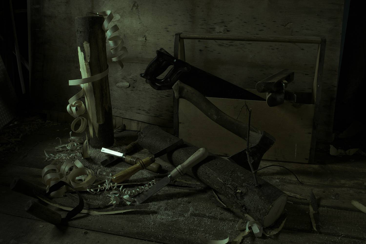 , Анкудинов Леонид