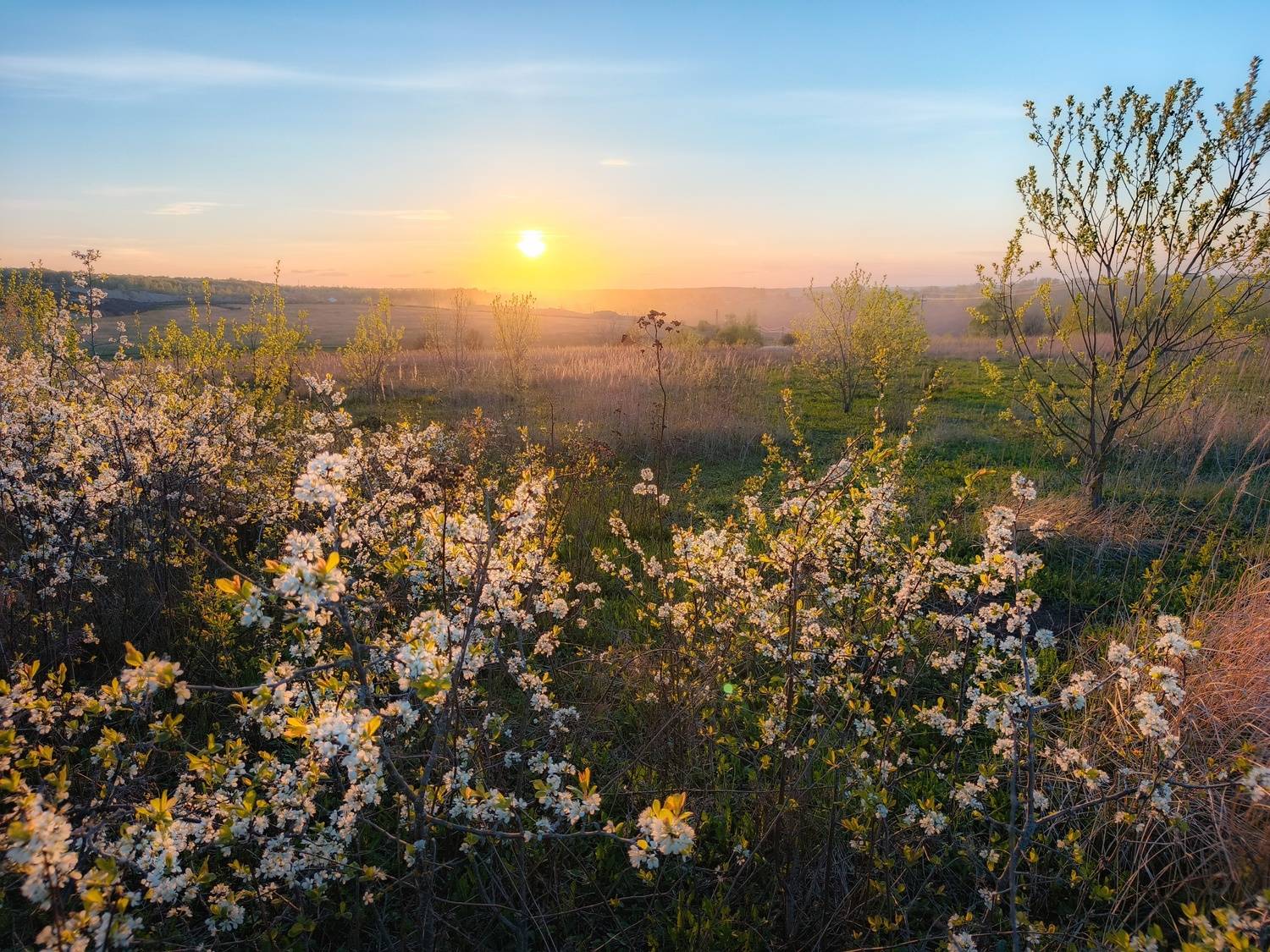 , Кондрашова Светлана