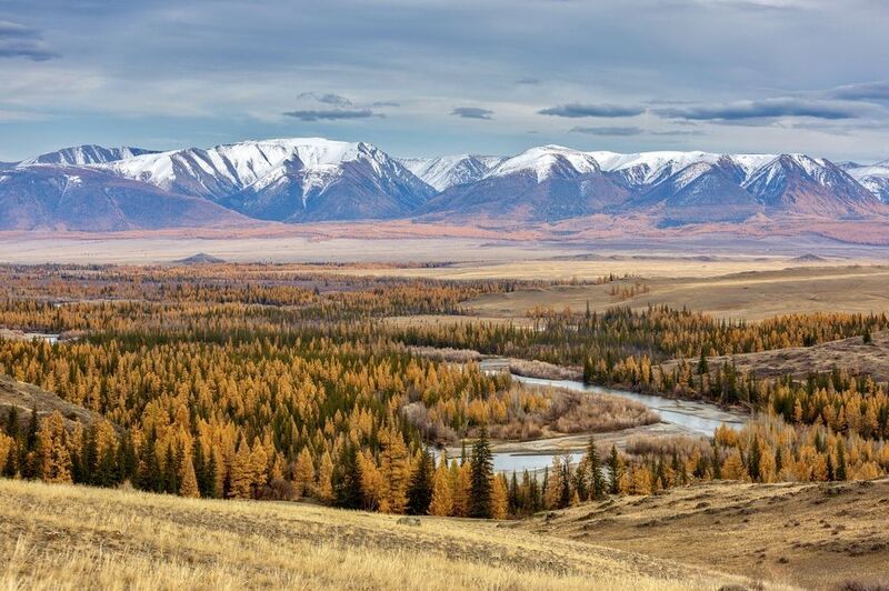 алтай, курай, осень Алтай. Пасмурный Курай фото превью