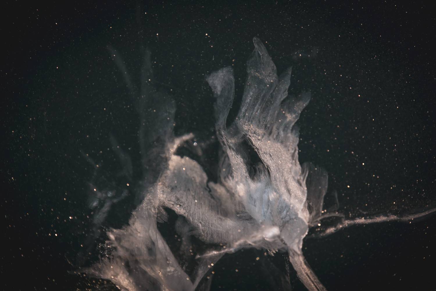 лёд байкал, Сагдиева Эльвира