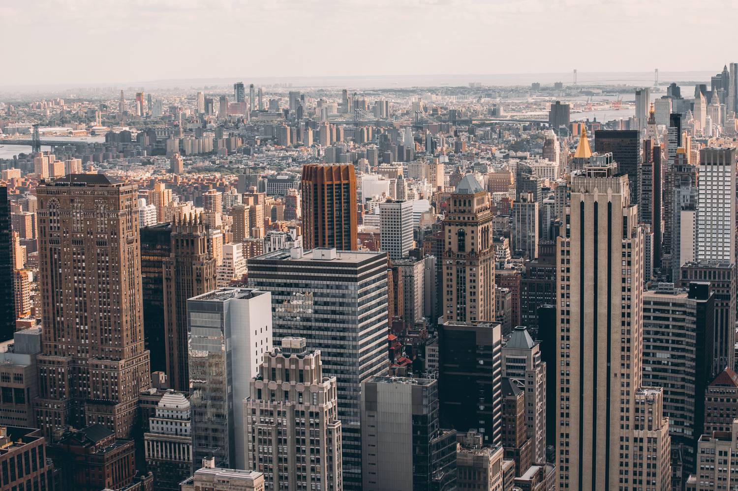 , Трепольский Дмитрий