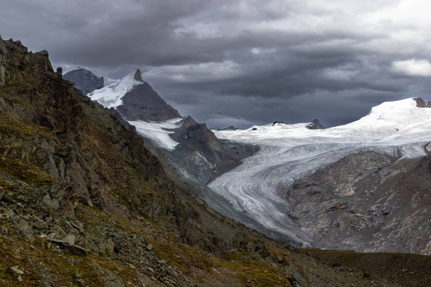 , Евгения Чех