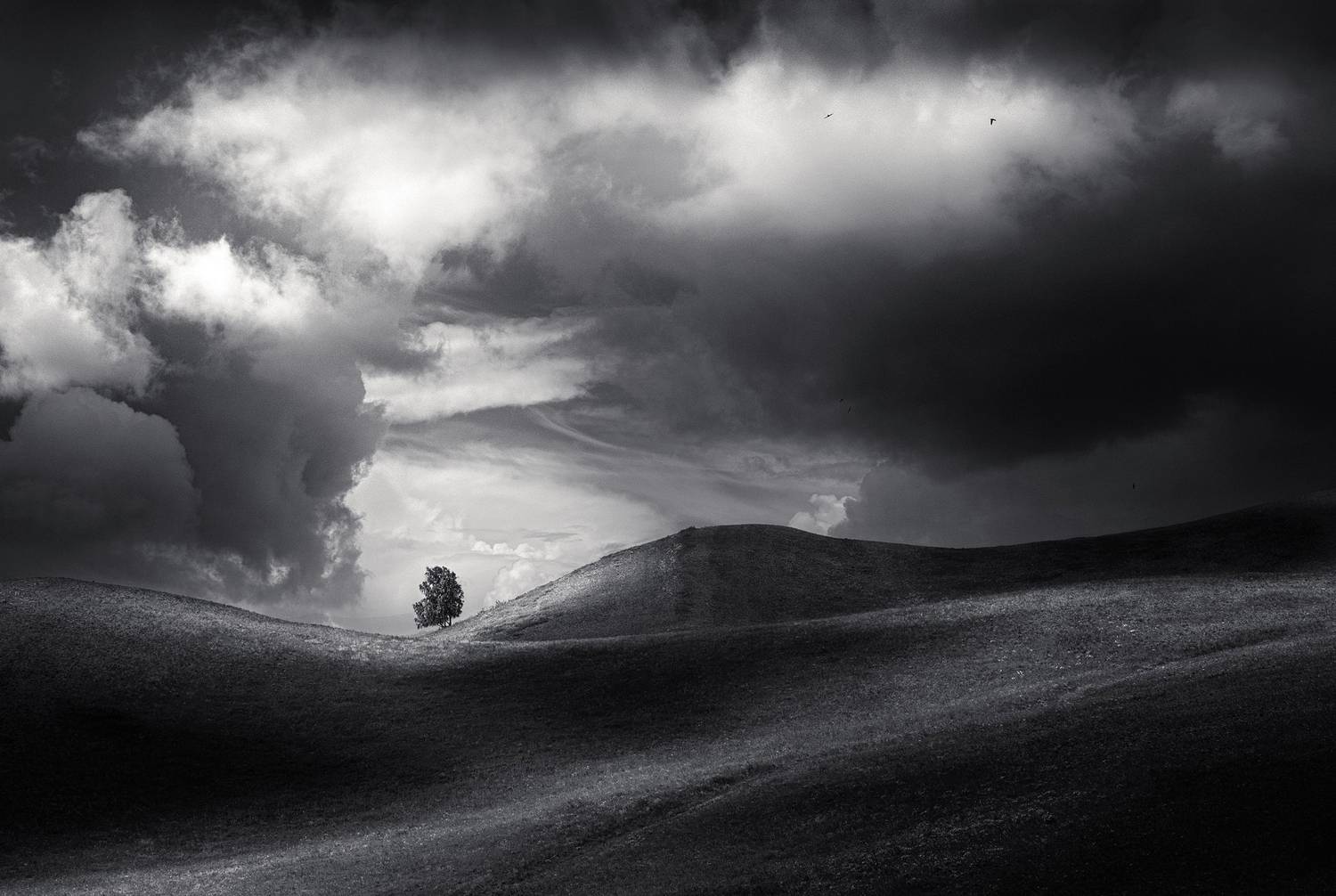 , Татьяна Бирюкова