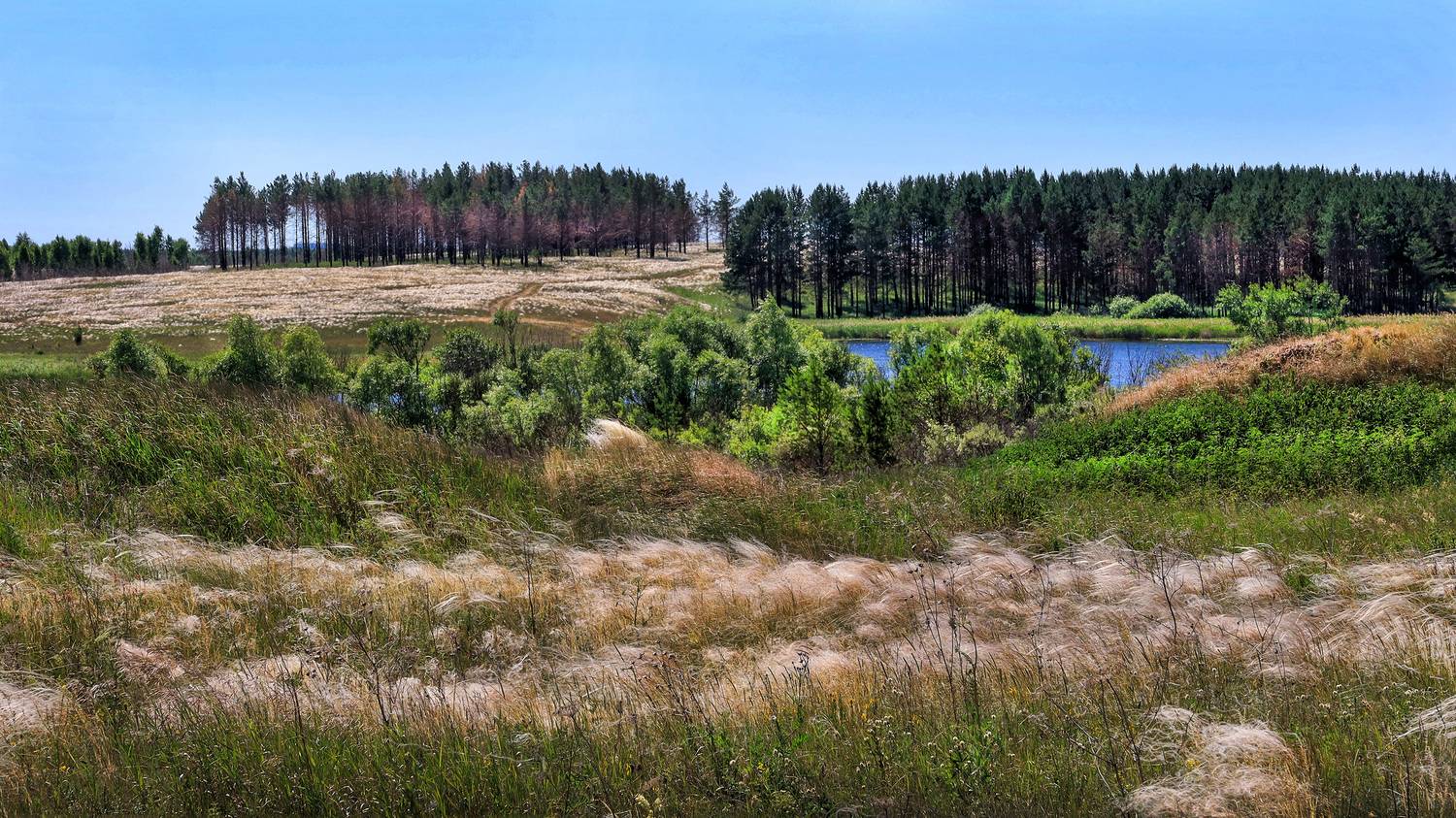 , Ушаков Валерий