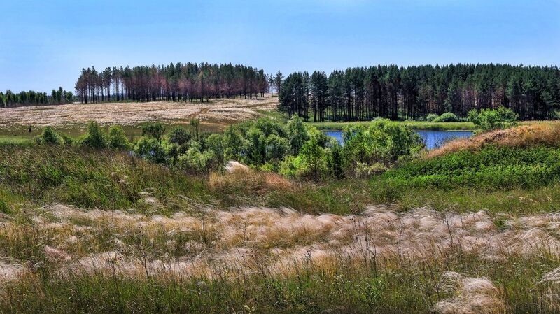 Жаркий июнь фото превью