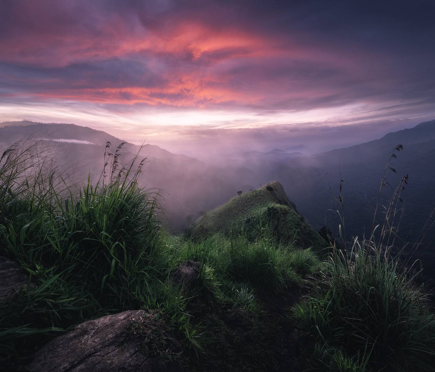 , Политова Анна