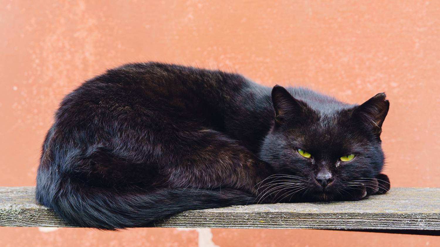 , Вертиков Юрий