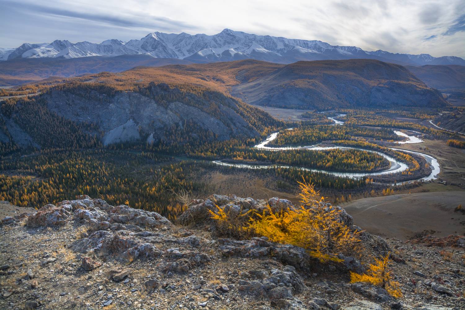 россия, горный алтай, река чуя, изгибы реки, меандры, осень, Поляков Андрей