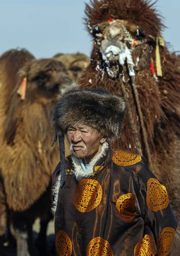 Mongolian camel winter festival