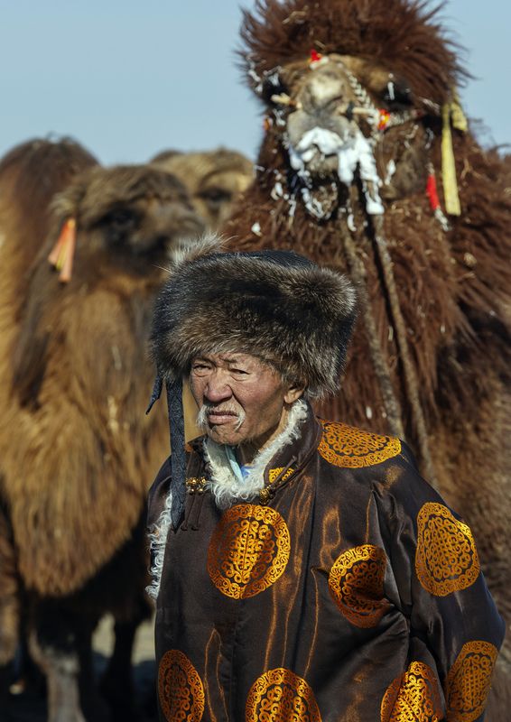 Mongolian camel winter festival Mongolian camel winter festival фото превью