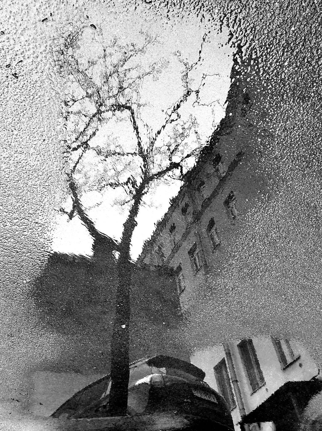 , Антон Лаба