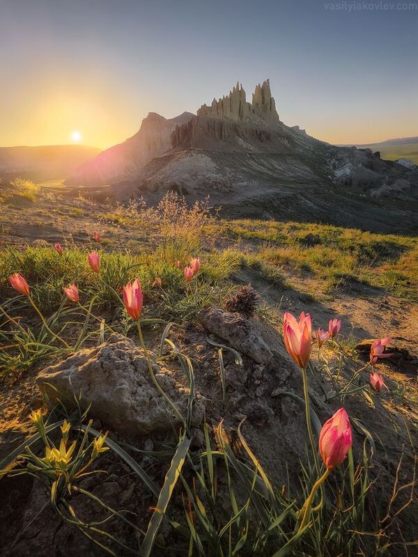 казахстан, мангистау, фототур, яковлевфототур Весна в Мангистау фото превью