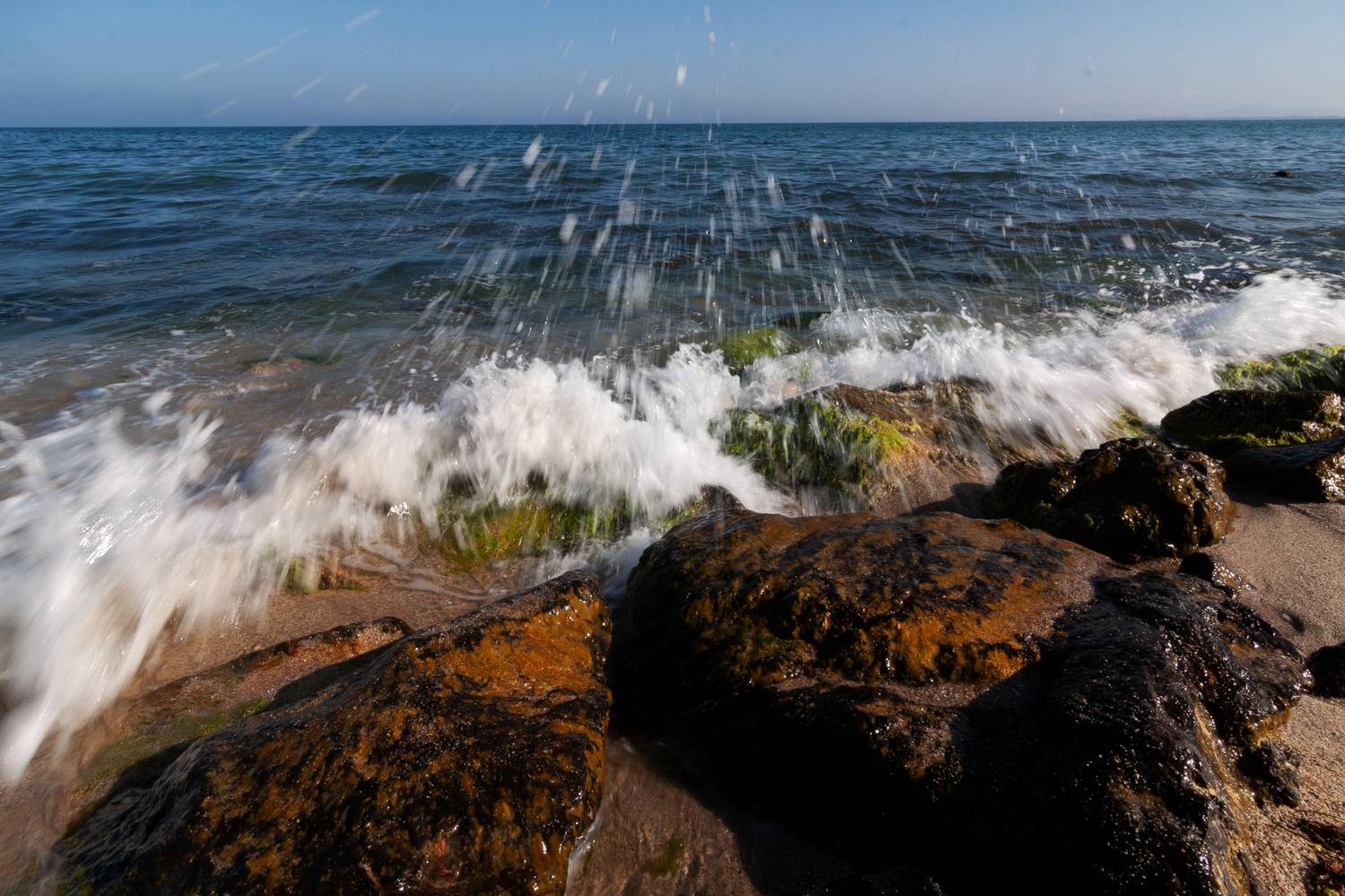 , Мариана Добрева