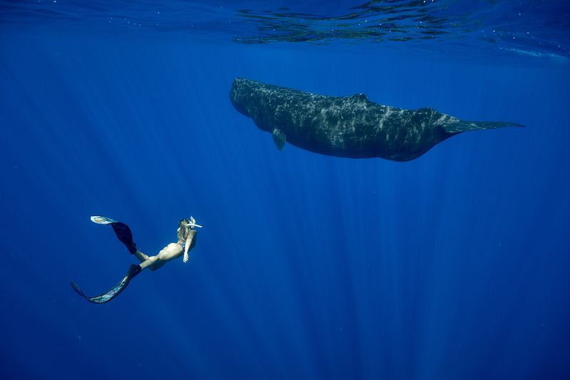 *** фото превью