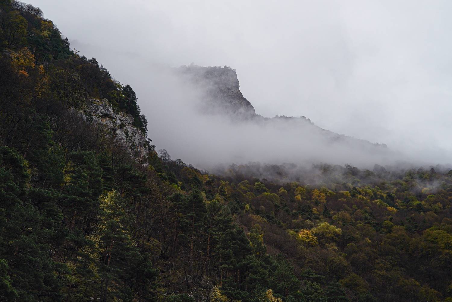 Россия, Северная Осетия, Куртатинское ущелье, Кавказ, , Гаврилов Юрий