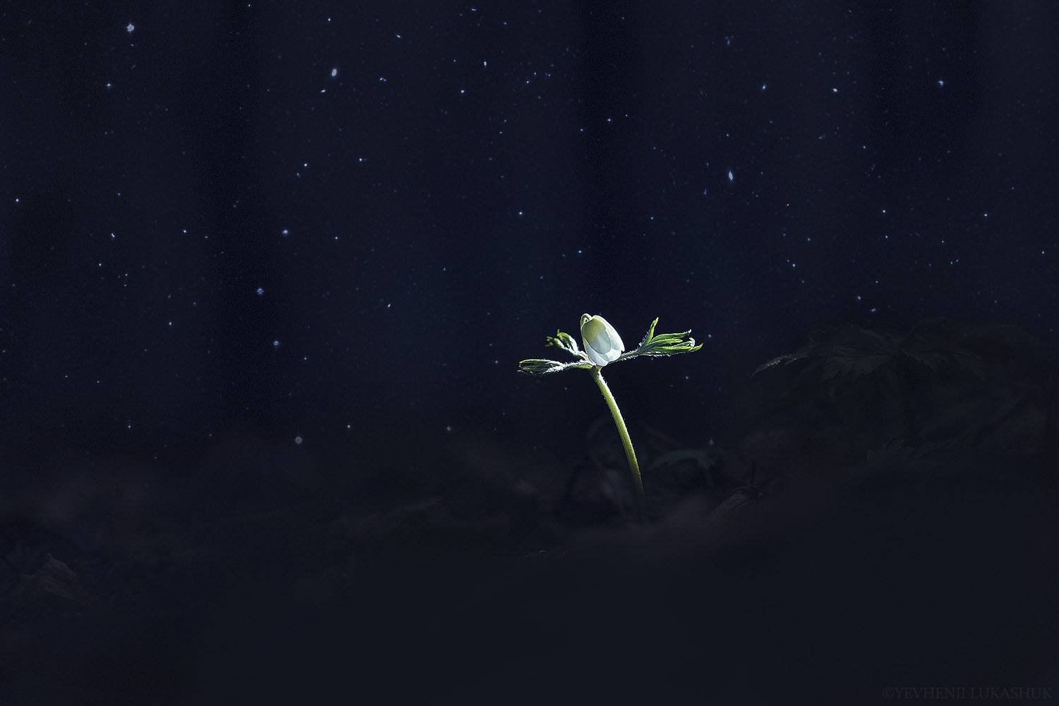 , Лукашук Евгений