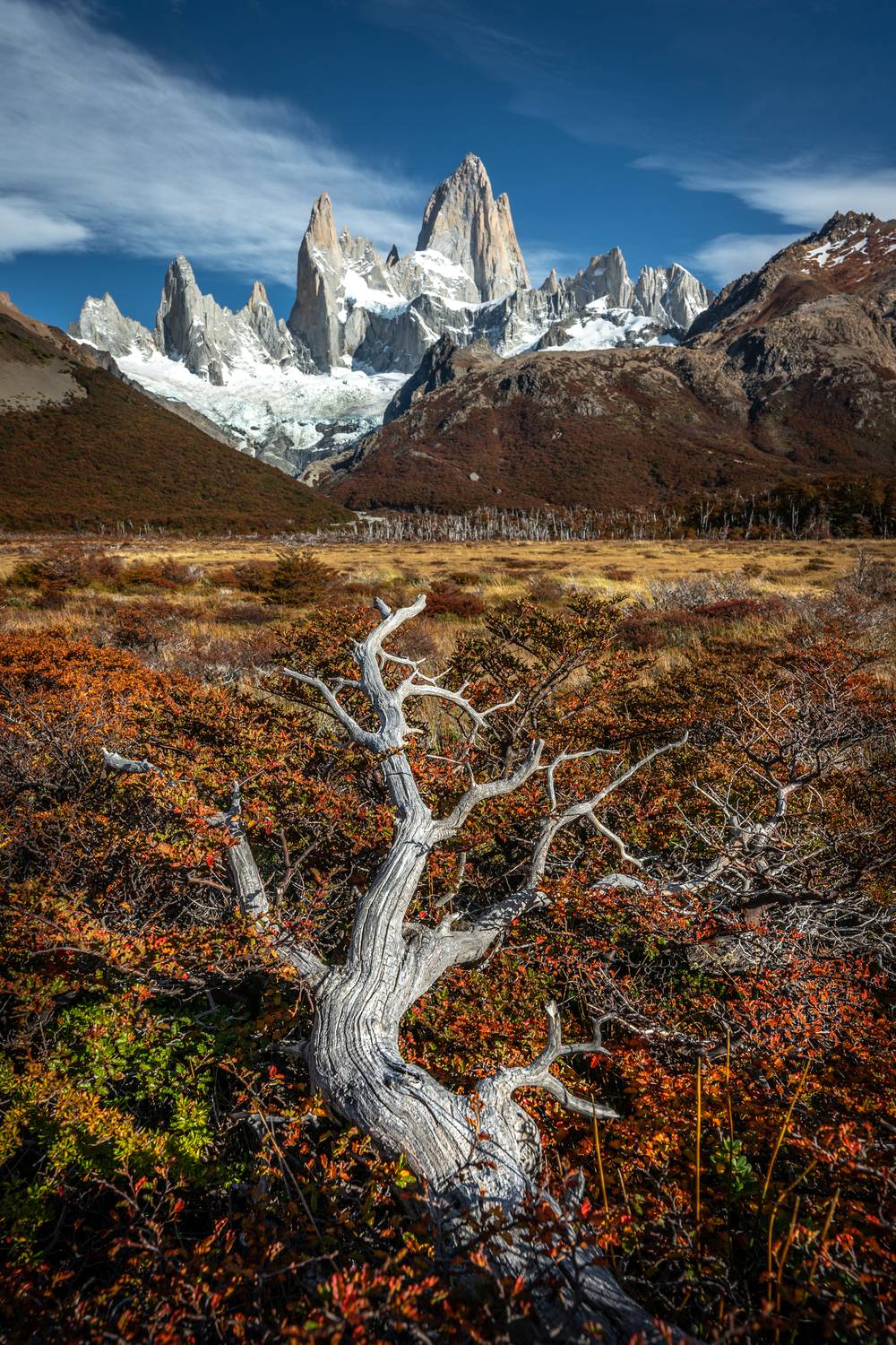 патагония, фицрой, осень, Ганюшкин Владимир