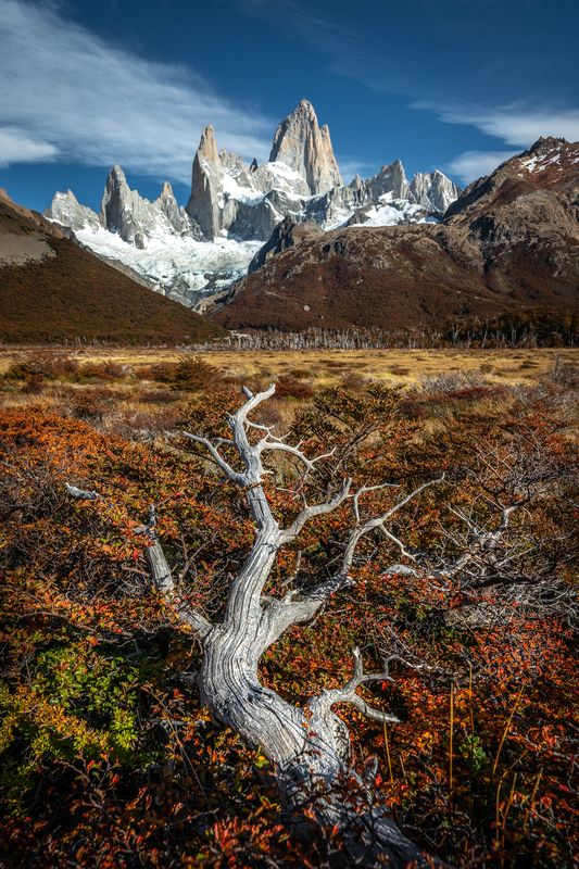 патагония, фицрой, осень Осень в Патагонии фото превью