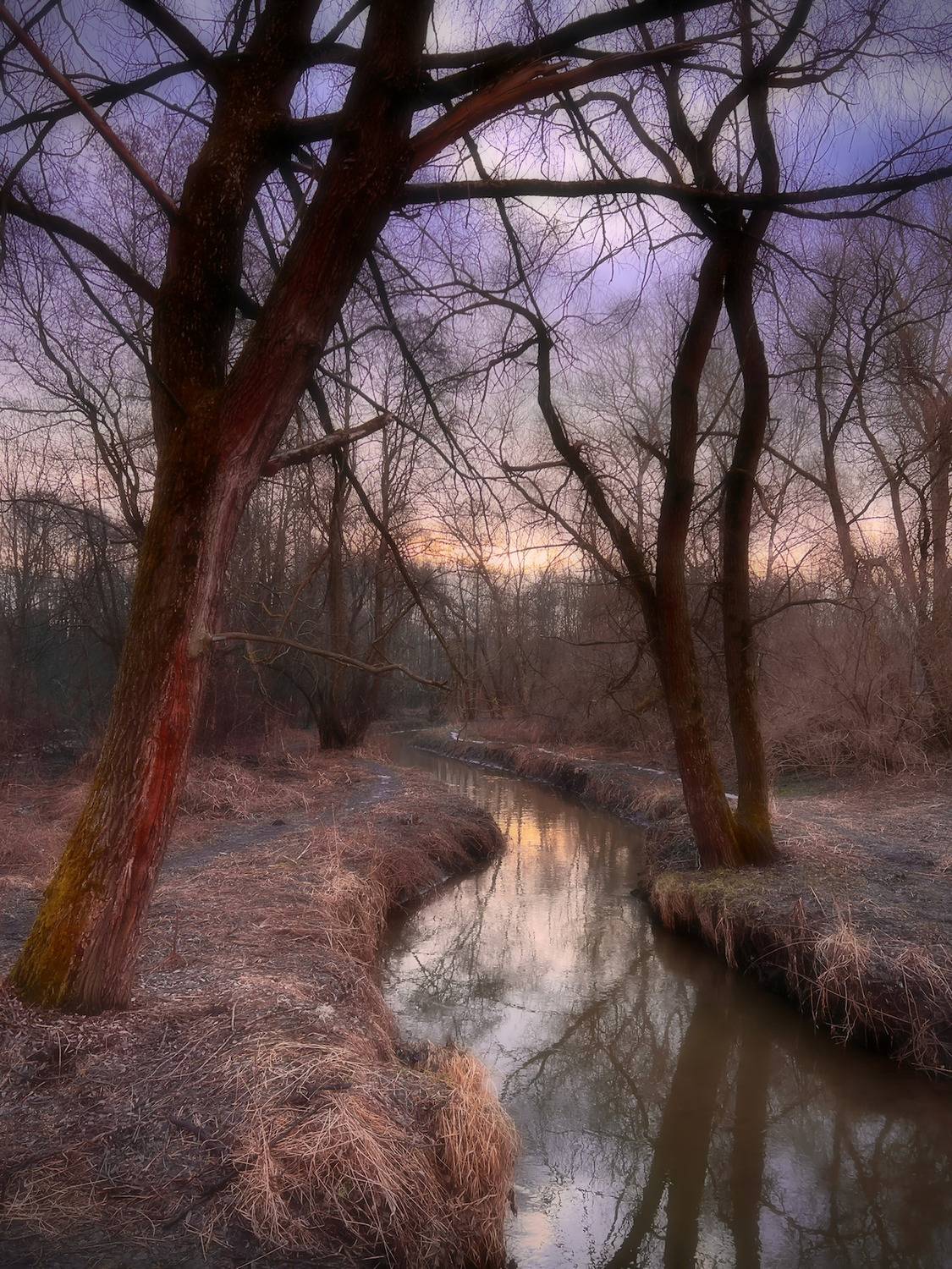 пейзаж, landscape, nature, природа, весна, spring, sunset, закат, лес, forest, Julia Kaissa