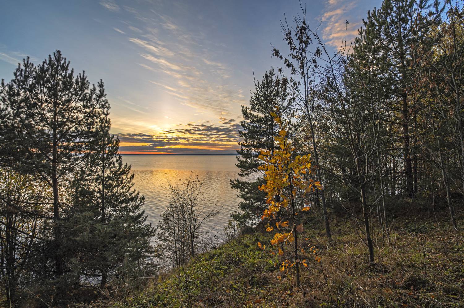 , Шитов Александр